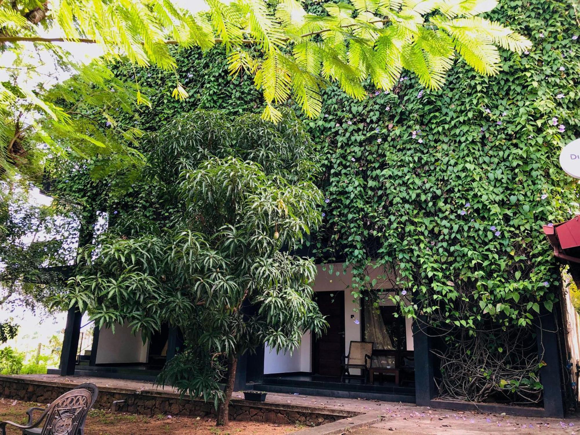 Bed and Breakfast Dambulla Rock Arch Exterior foto