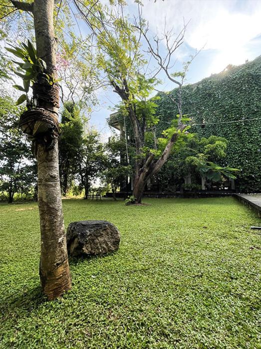Bed and Breakfast Dambulla Rock Arch Exterior foto